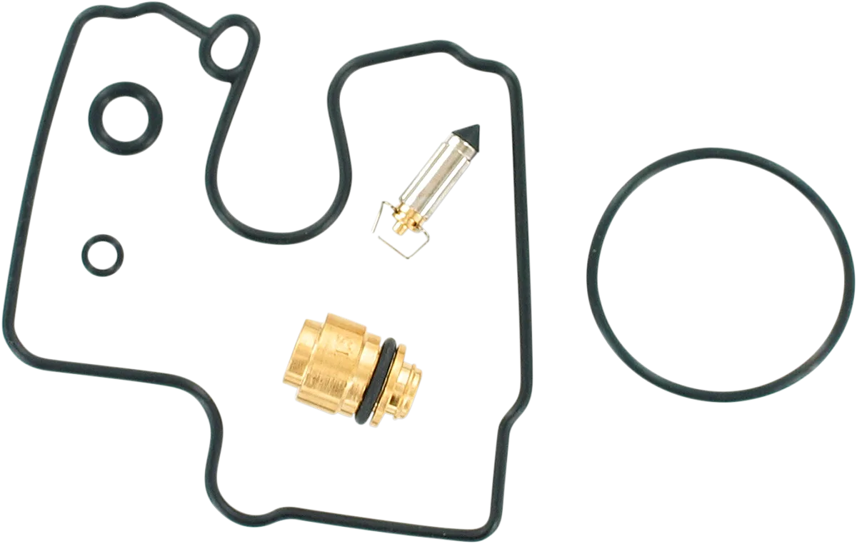 Carburetor Repair Kit