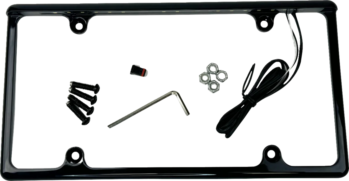 License Plate Frame with LED Tag Illumination