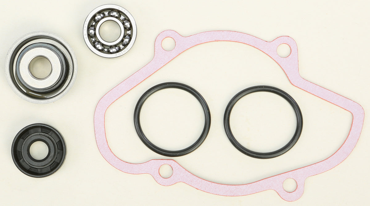 Water Pump Rebuild kit