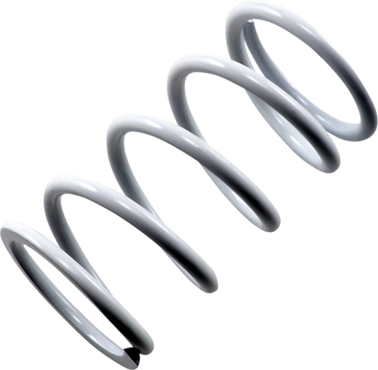 Primary Clutch Spring