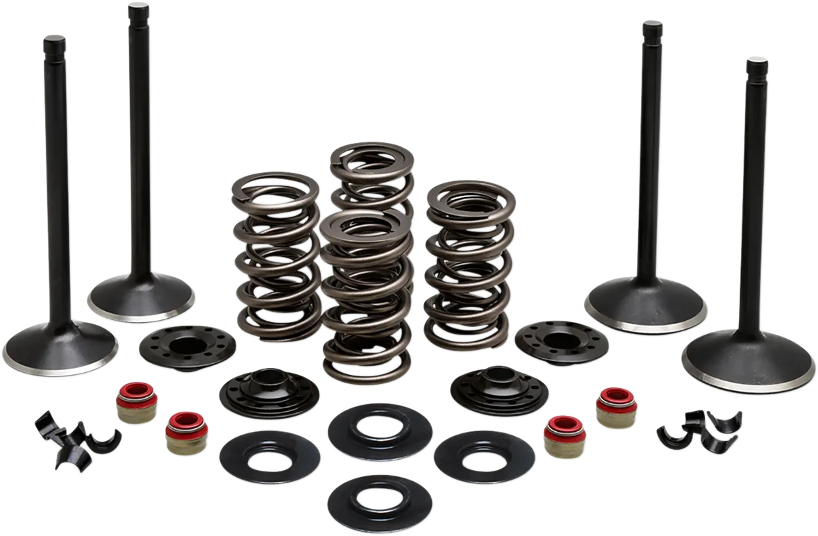 Engine Valve Kit