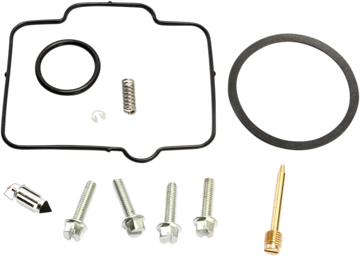 Carburetor Repair Kit