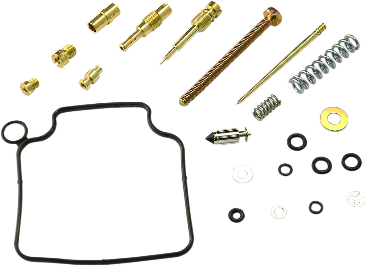 Carburetor Repair Kit