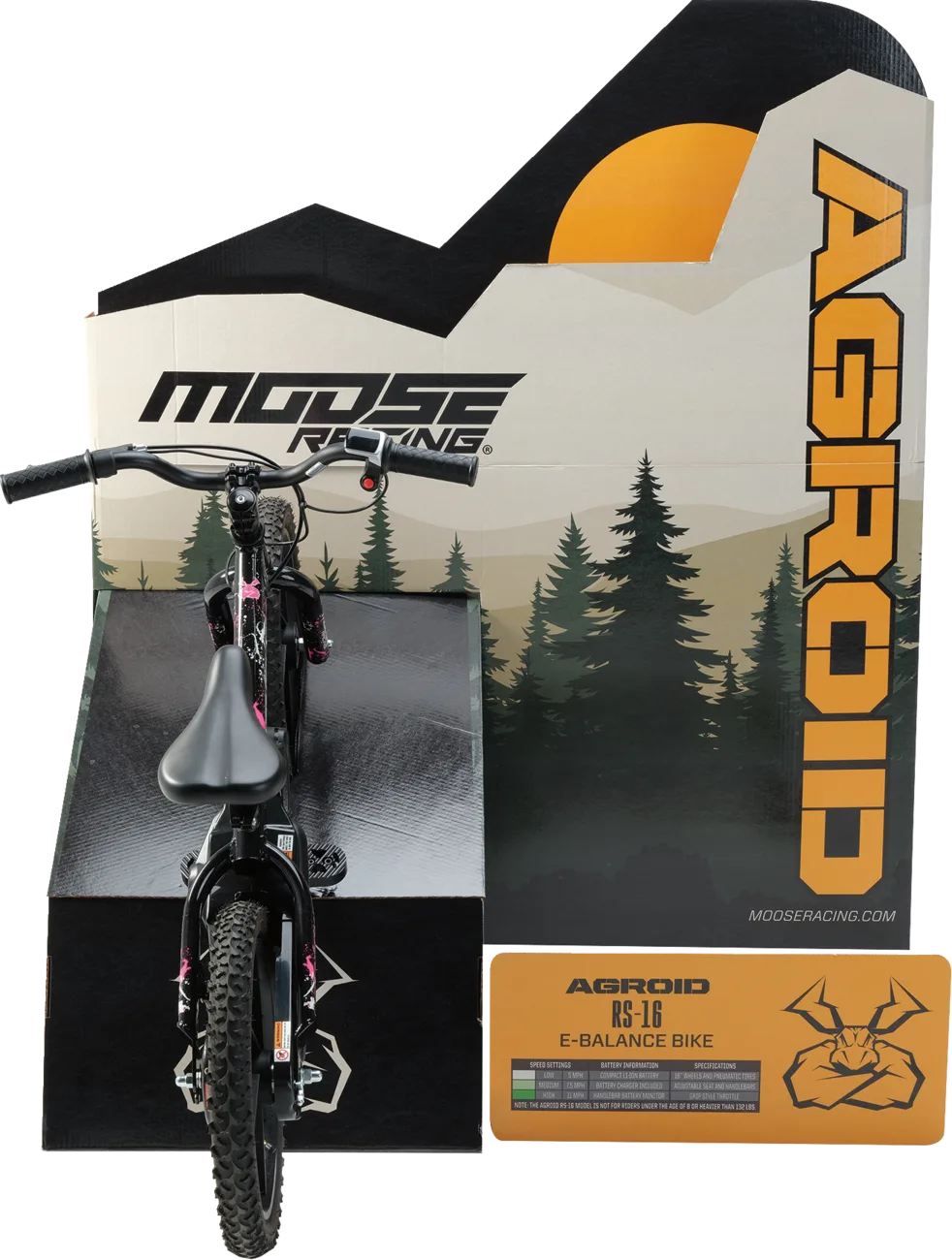 Agroid RS-16 Balance E-Bike Display