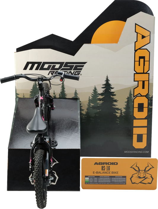 Agroid RS-16 Balance E-Bike Display