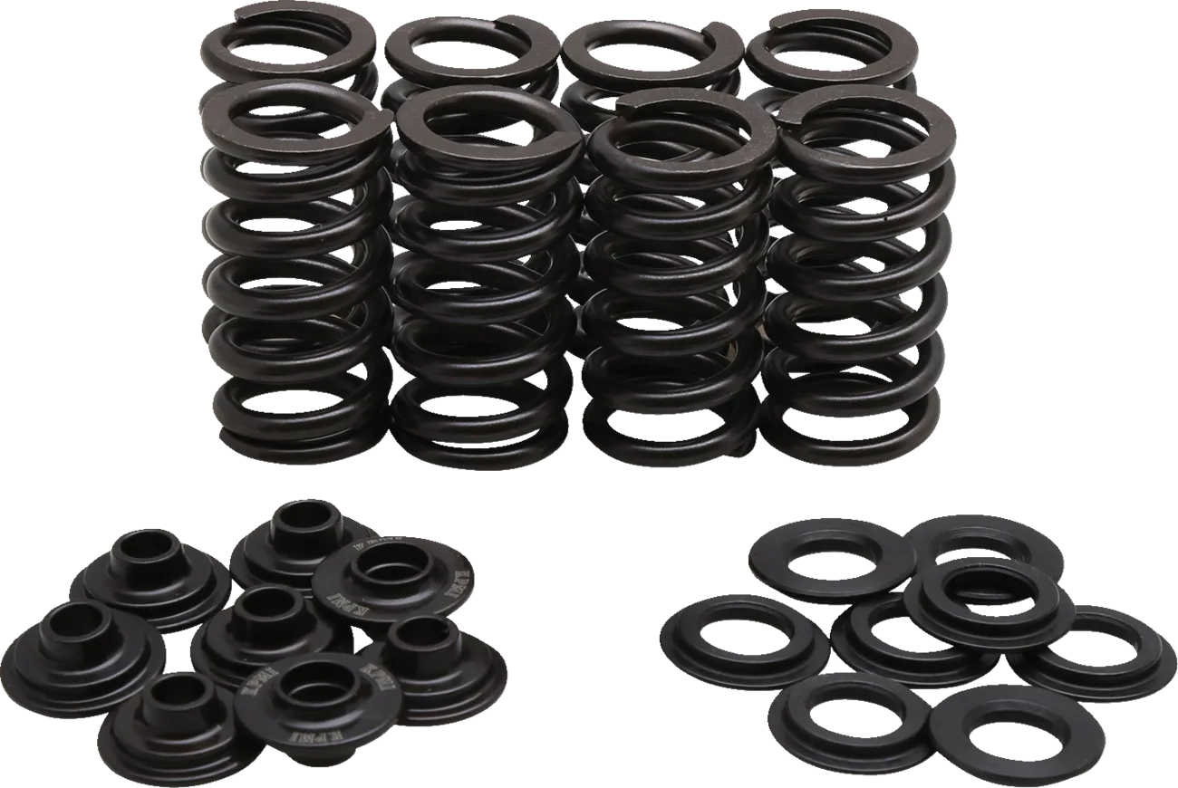 Lightweight Racing Valve Spring Kit