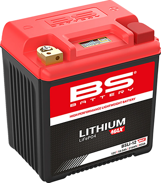 Lithium Max LiFePO4 Battery