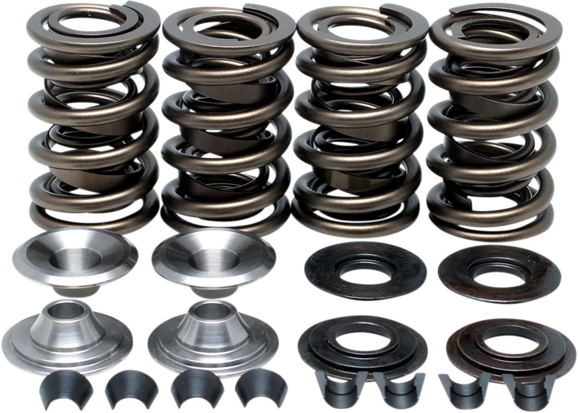 Racing Valve Spring Kit