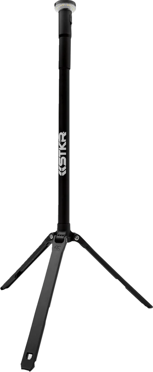 FLi 6.5' Telescoping Area Light