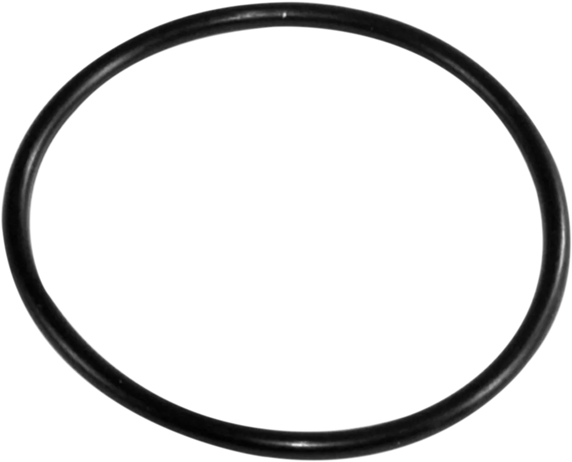 Replacement Seal