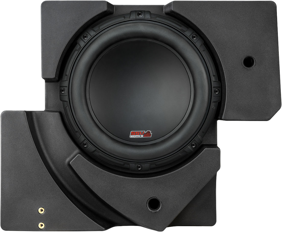Ssv 10" Subwoofer And Box
