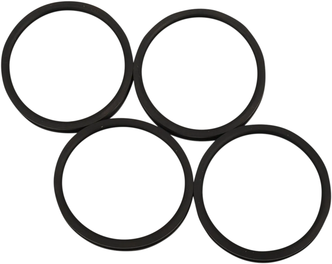 Intake Manifold Seal