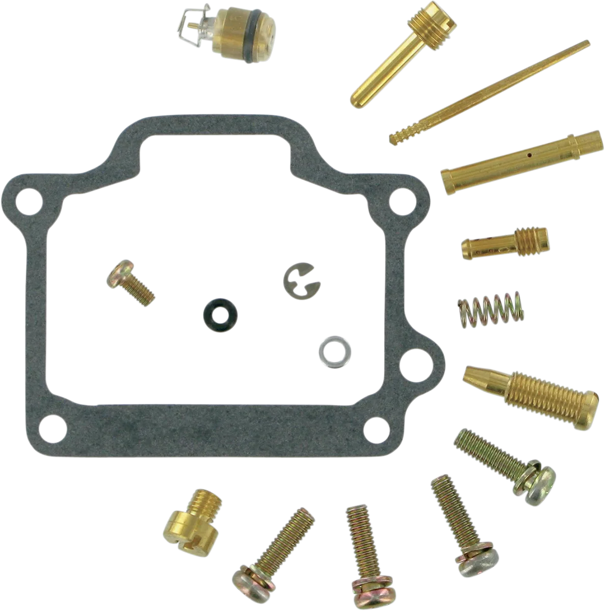 Carburetor Repair Kit