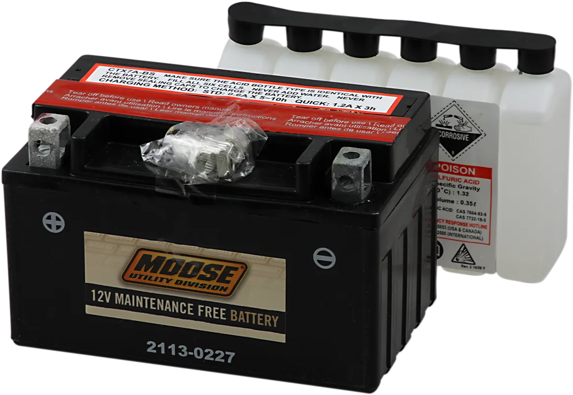 AGM Maintenance-Free Battery