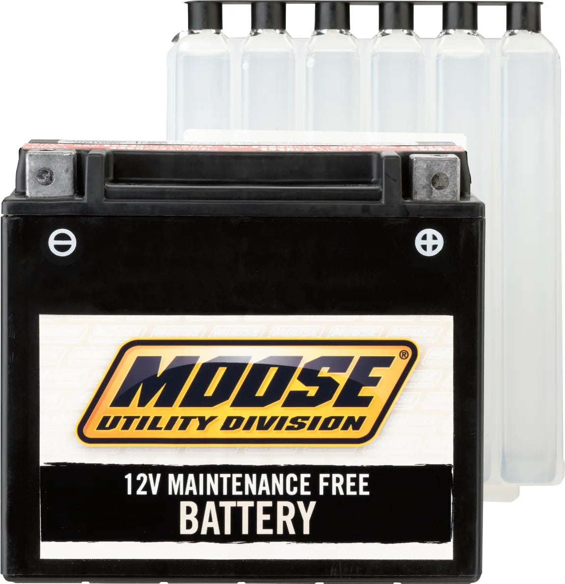 AGM Maintenance-Free Battery