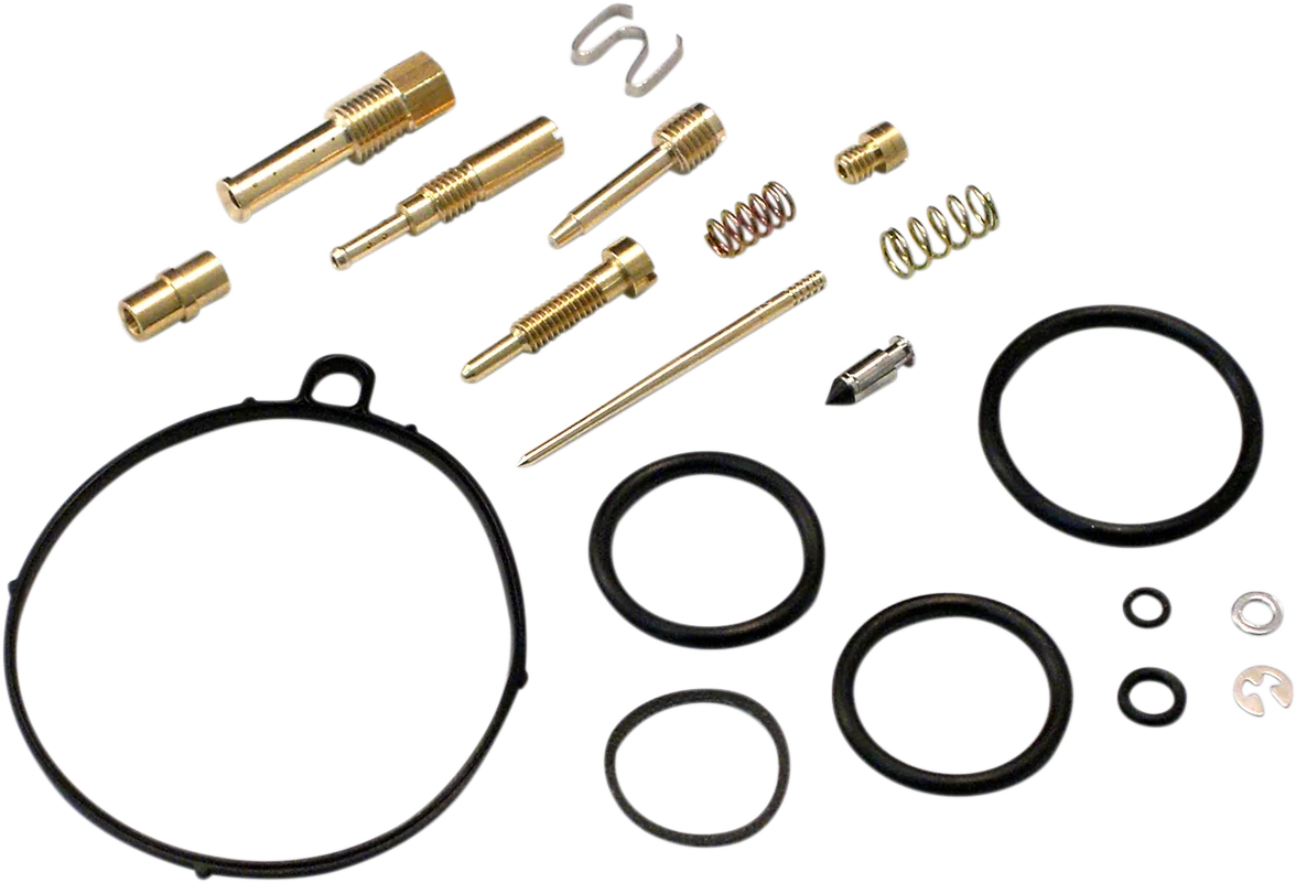 Carburetor Repair Kit