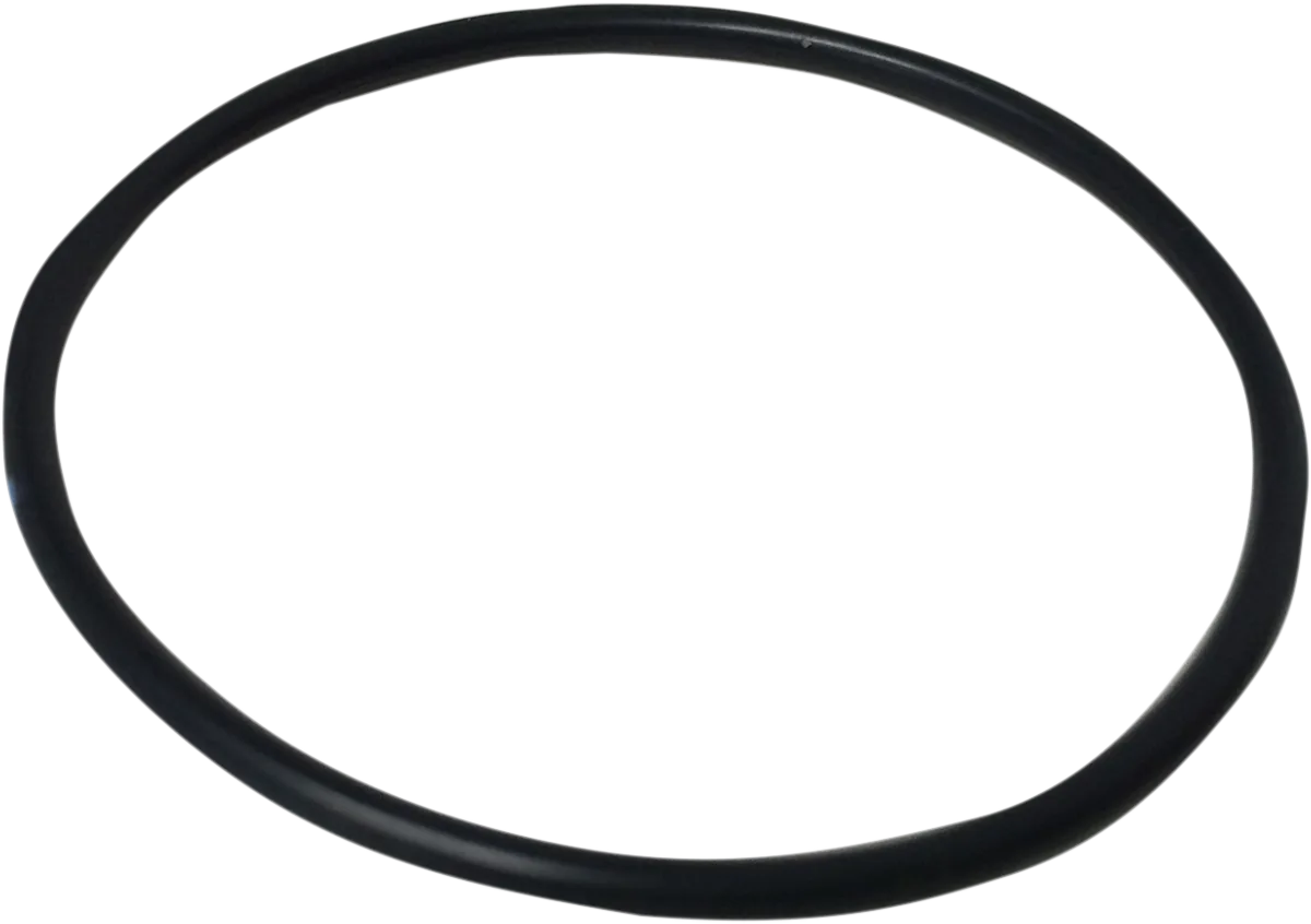 Rear Shock Piston O-Ring