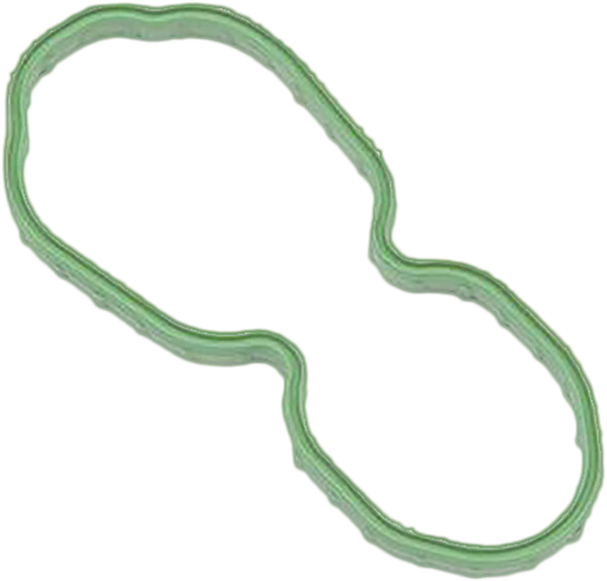 Fuel Pump Door Gasket