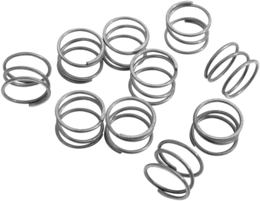 Rocker Arm Shaft Springs