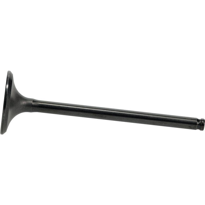 Exhaust Valve