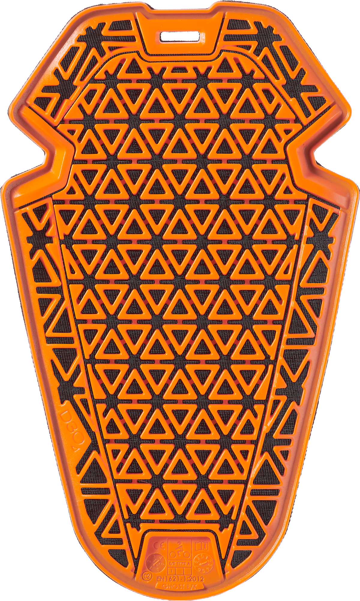D30 Ghost Protector