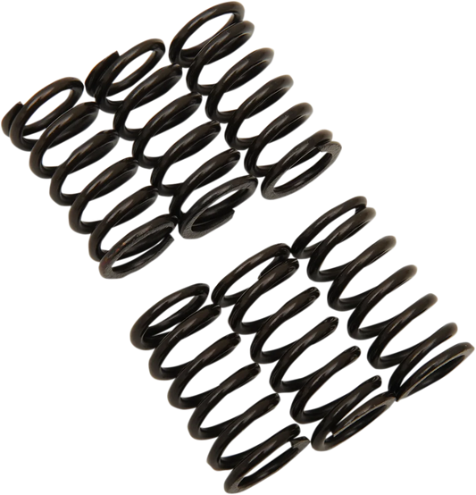 Clutch Spring Kit