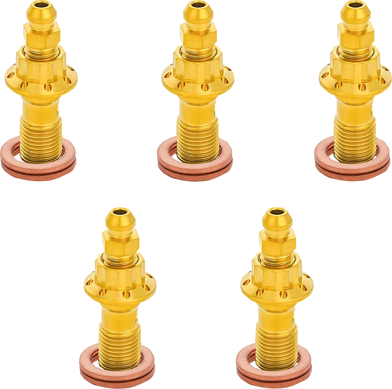 12-Point Titanium Banjo Bolts