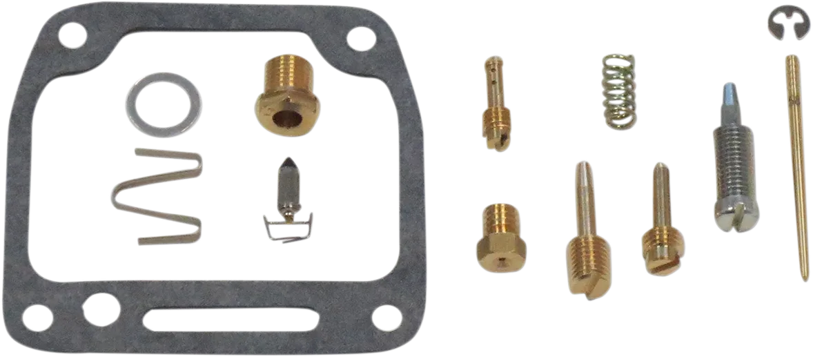 Carburetor Repair Kit