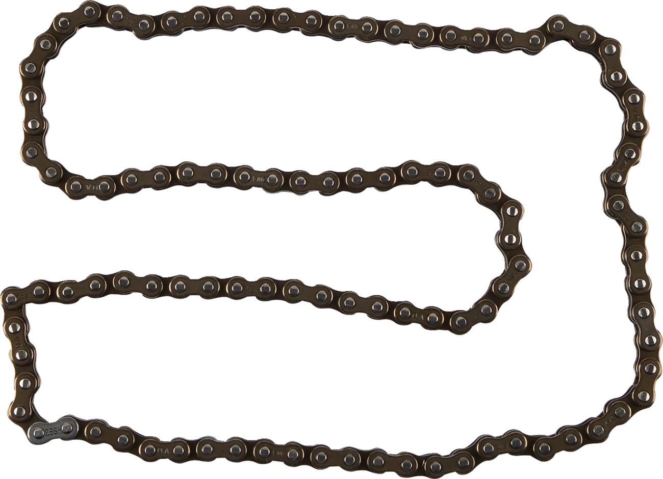 Cam Chain