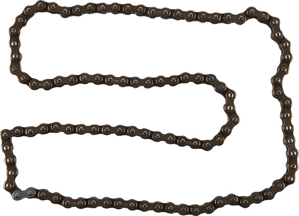 Cam Chain
