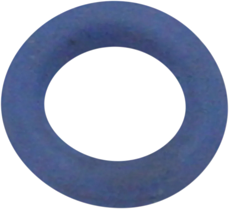 O-Ring