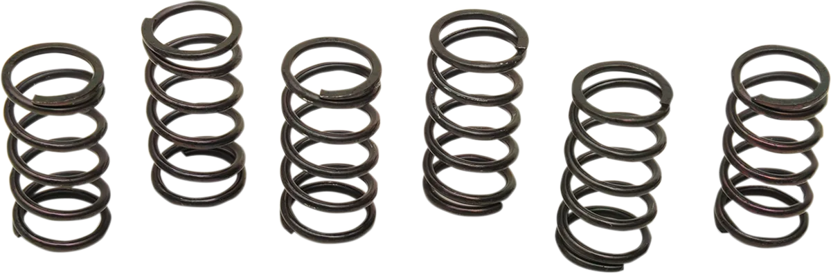 Clutch Spring Kit