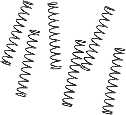 Pressure Relief Valve, Springs and Plunger