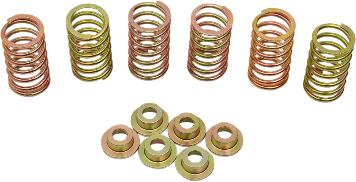 Clutch Spring Kit