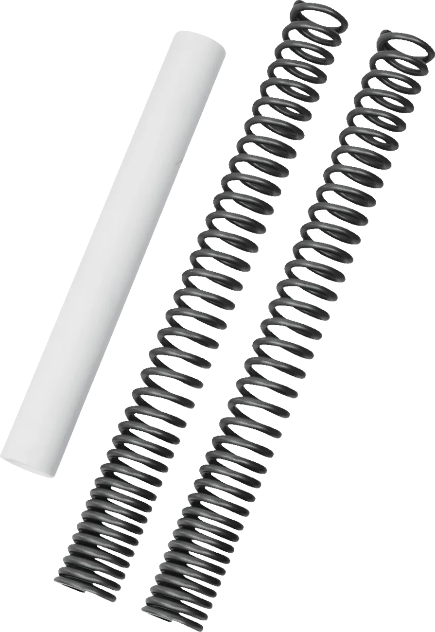 Fork Spring Kit