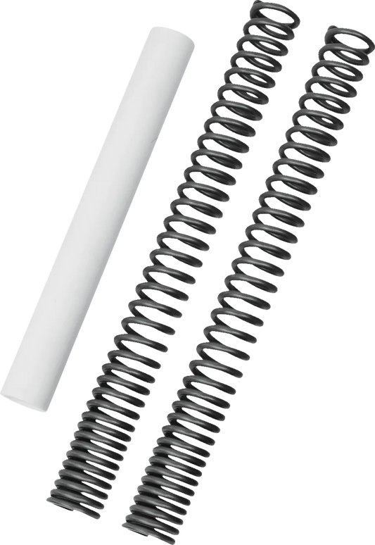 Fork Spring Kit