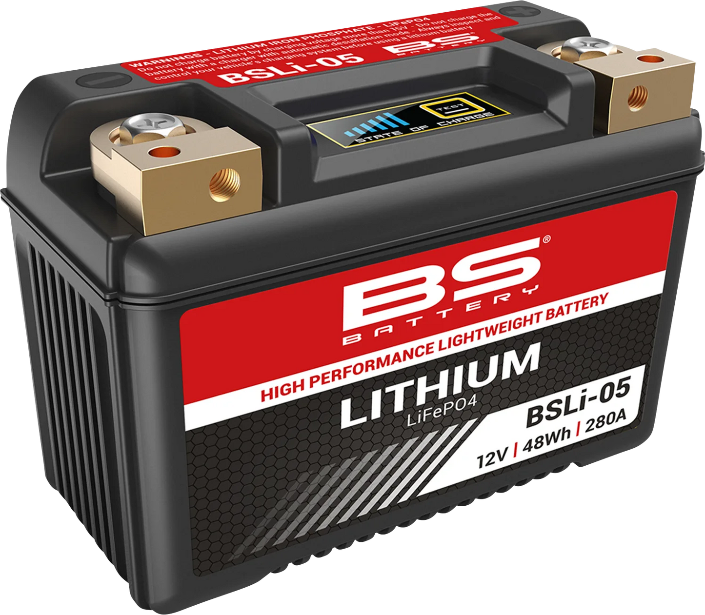 Lithium LiFePO4 Battery