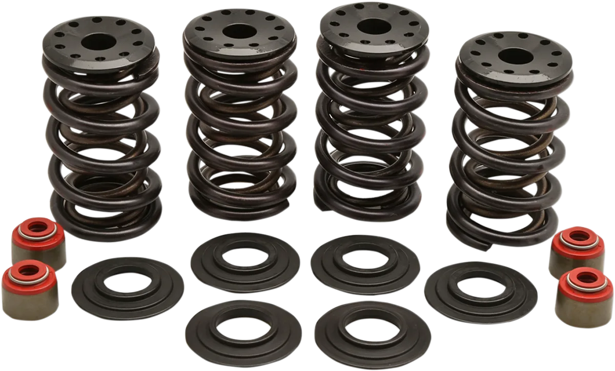 Racing Valve Spring Kit