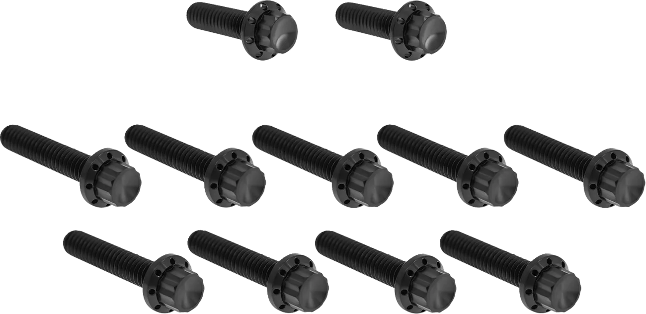 Cam Cover/Point Cover Titanium 12-Point Bolt Kit