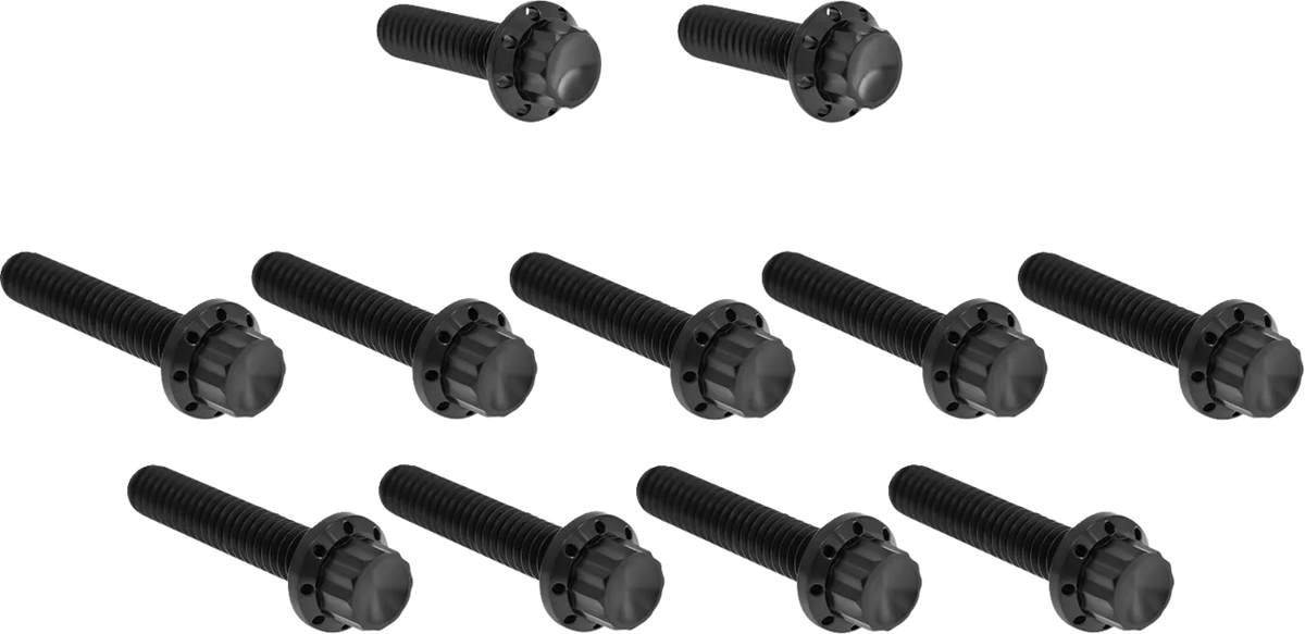 Cam Cover/Point Cover Titanium 12-Point Bolt Kit