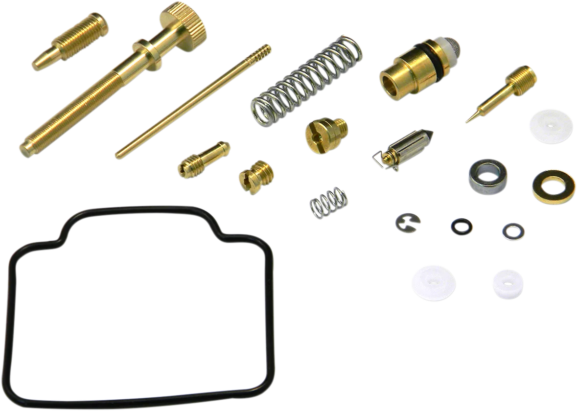 Carburetor Repair Kit