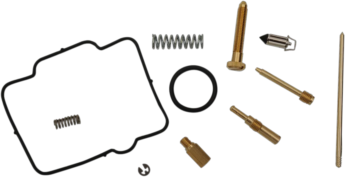 Carburetor Repair Kit