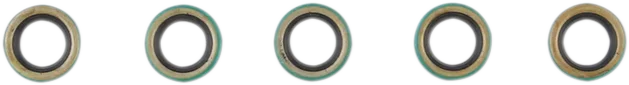 Shifter Shaft Seal