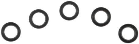 Oil Pump O-Ring