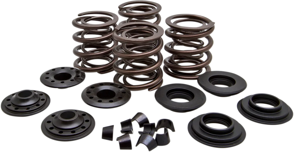 Racing Valve Spring Kit
