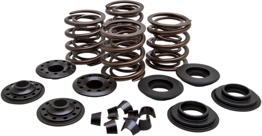 Racing Valve Spring Kit