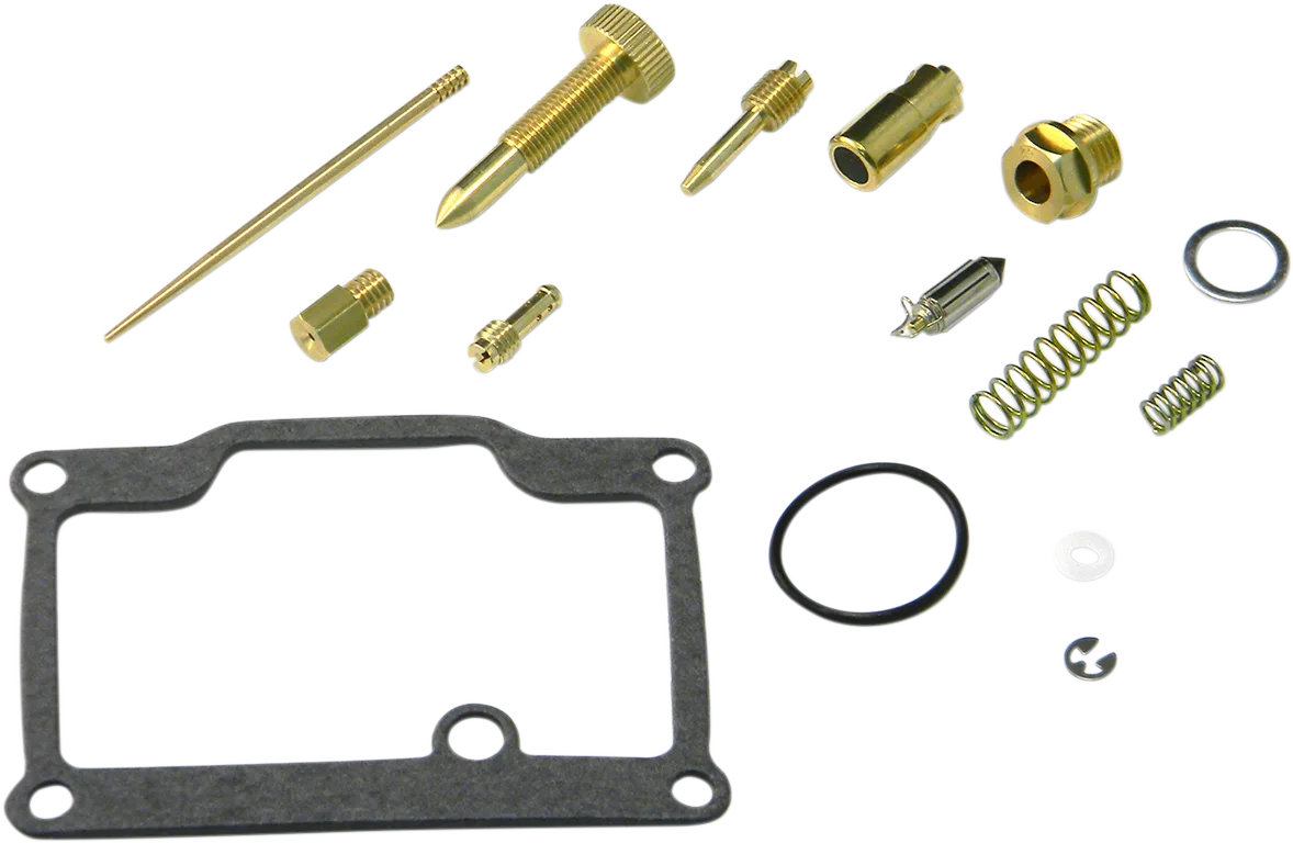 Carburetor Repair Kit