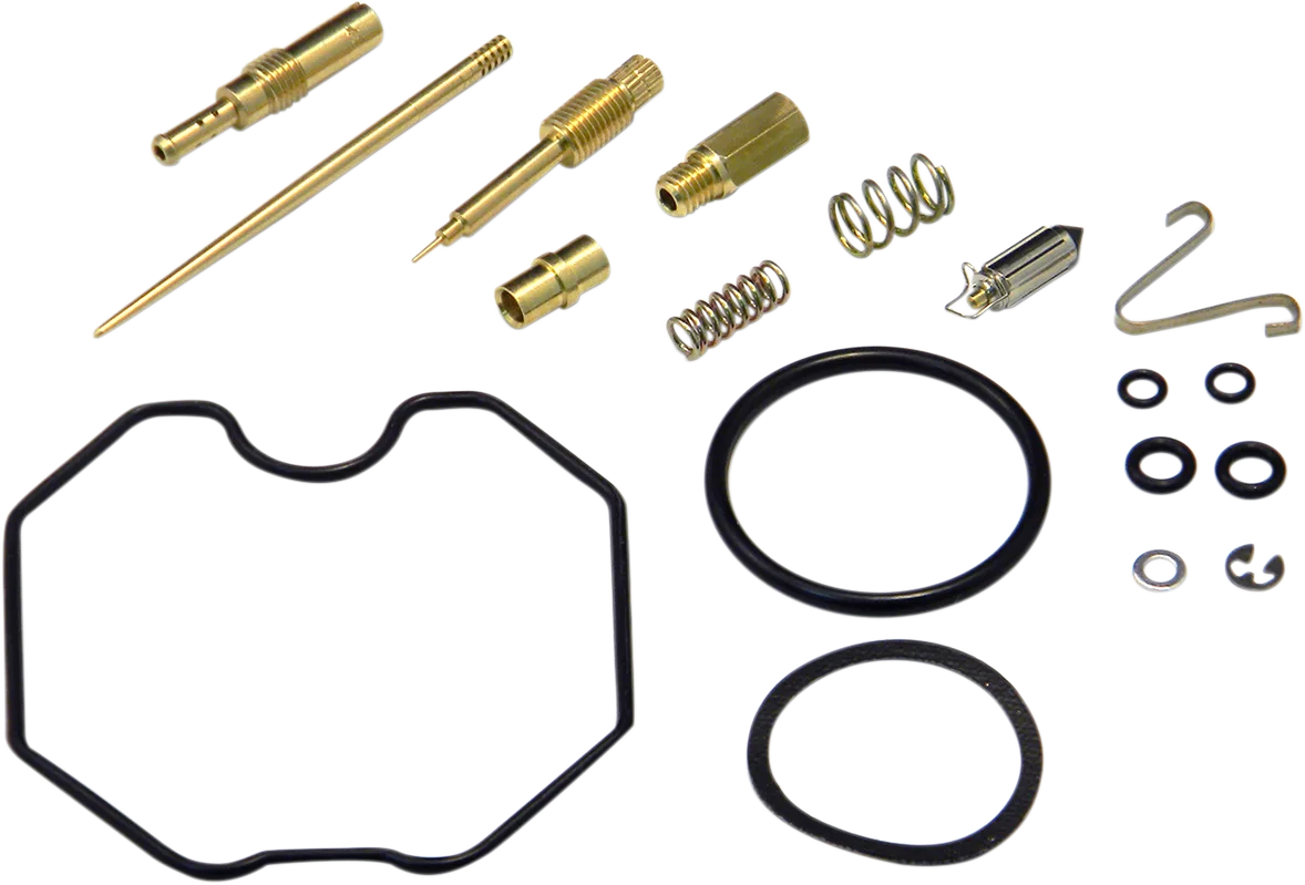 Carburetor Repair Kit