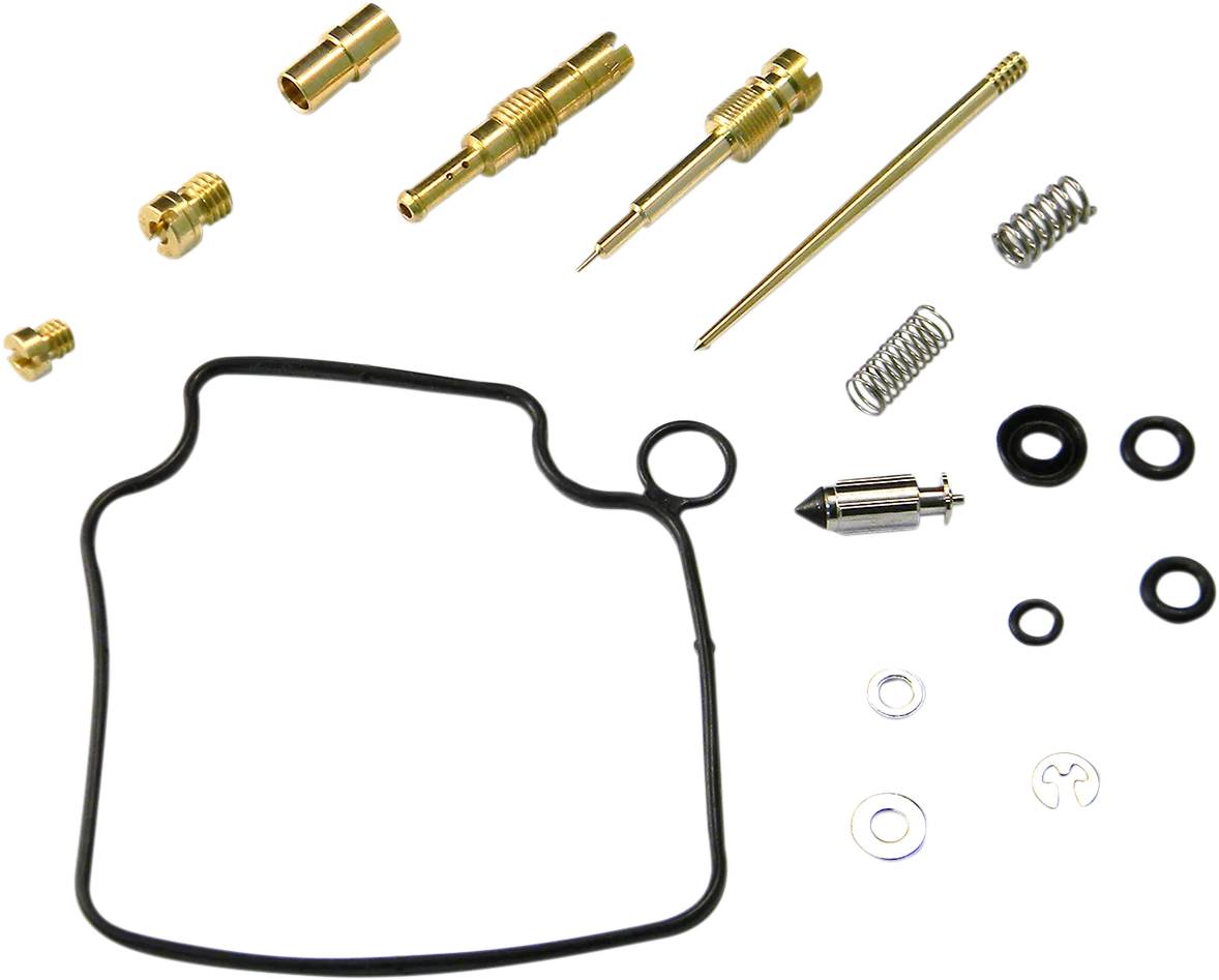 Carburetor Repair Kit