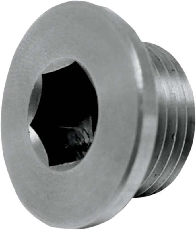 O2 Sensor Bung Plug